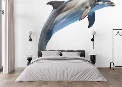 a dolphin jumping in the air isolated on white  Wall mural