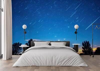 starry night sky Wall mural