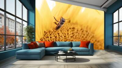 Bee Wall mural