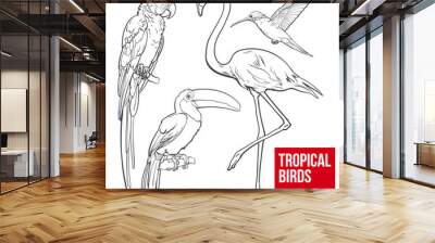 bright and colorful exotic tropical birds - flamingo, macaw, hummingbird and toucan, set of sketch s Wall mural