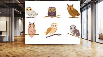 Collection of species of owls forest birds, flat vector illustration isolated. Wall mural