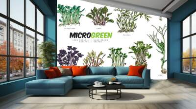 Color microgreens botanical vector set with titles, hand drawn natural fenugreek, beet, fennel, basil others salad herbs Wall mural