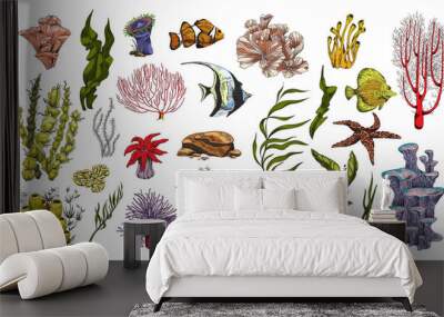 Coral reef plants and fishes colorful icons, vector illustration isolated. Wall mural