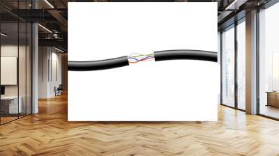 Electric cable with wires in multicolored insulation a vector illustration. Wall mural