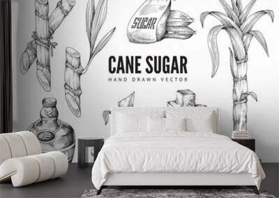 Hand drawn cane sugar items set, engraving vector illustration isolated. Wall mural