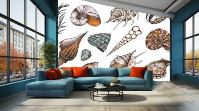 Hand drawn ocean shells collection, color engraving vector illustration isolated. Wall mural