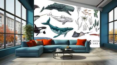 Ocean marine animals and seaweed, colored sketch vector illustration isolated on white background. Wall mural