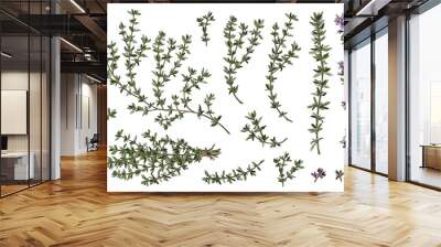 Thyme branches and flowers, hand drawn sketch vector illustration isolated on white background. Wall mural