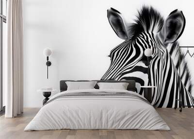 Zebra Head Closeup on White Background, Wall mural