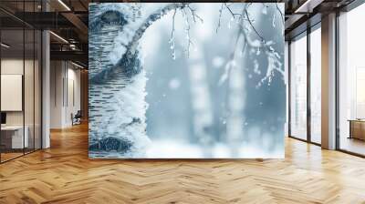 A close-up of a birch tree trunk covered in snow with branches covered in ice and snowflakes falling in the background. Wall mural