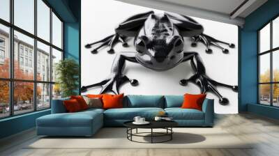 Black frog with shiny skin and large eyes on a white background. Wall mural