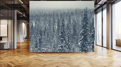 Dense spruce winter Arctic forest. Twilight in the mountain winter forest. Wall mural