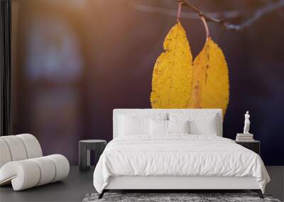 Two yellow leaves on a branch in autumn. Soft focus. Wall mural