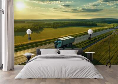 Truck on freeway top air view. Truck driving at beautiful spring landscape. Wall mural