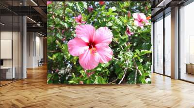 flor- naturaleza  Wall mural