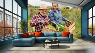 Happy multiracial senior women having fun during harvest period in the garden - Female farmer friends picking up fresh organic vegetables - Focus on the basket with vegetable Wall mural