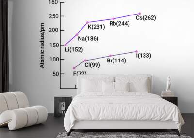 Variation of atomic radius with atomic number for alkali metals and halogens Wall mural