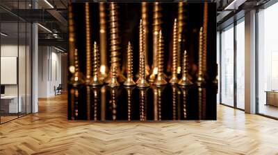 Arranged group of shiny golden screws with mirroring itself and black background. Wall mural