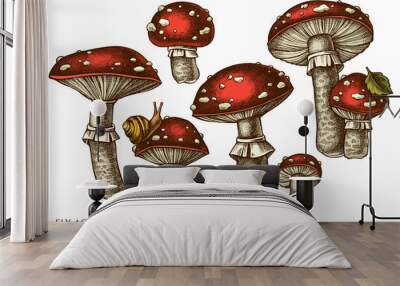 Forest mushrooms hand drawn vector illustrations collection. Colored fly agaric. Wall mural