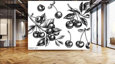 Gardening vintage vector illustrations collection. Black and white cherry. Wall mural