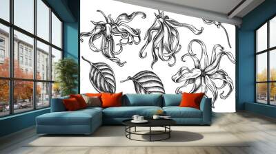 Vector collection of hand drawn black and white ylang-ylang Wall mural