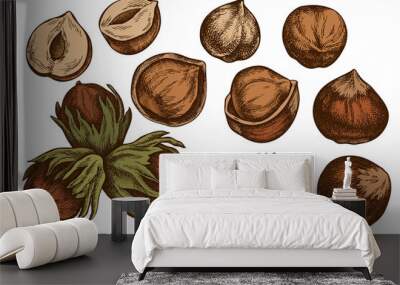 Vector set of hand drawn colored hazelnut Wall mural