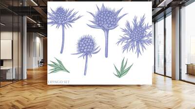 Vector set of hand drawn pastel blue eryngo Wall mural