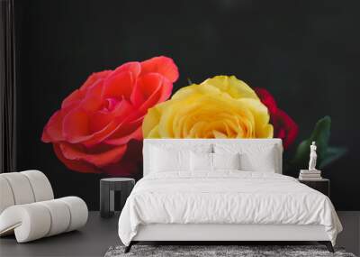 Beautiful rose with retro filter effect Wall mural