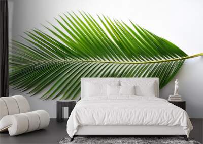 coconut tree leaves isolated on white background Wall mural