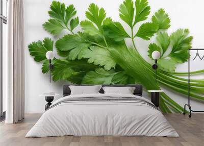 Coriander leaves, isolated on a clean white background Wall mural