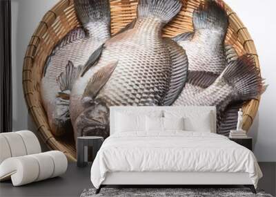 fresh fish, gourami fish on white background Wall mural