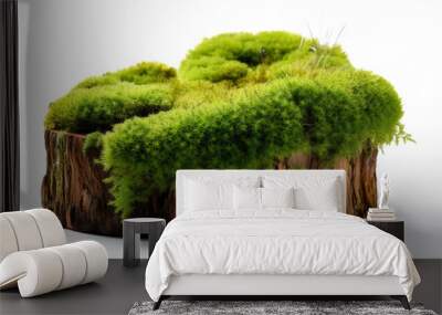 Green moss on tree rotten stump isolated on white background Wall mural