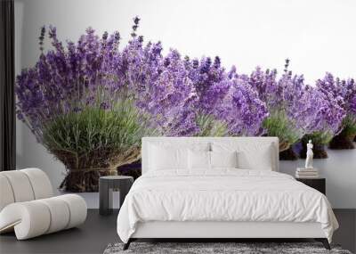 lavender isolated on white background Wall mural