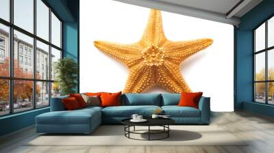 Sea star isolated on a white background Wall mural