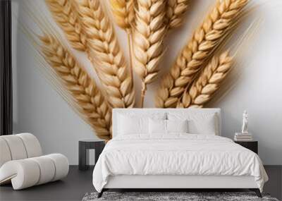 wheat plant, isolated on a white background Wall mural