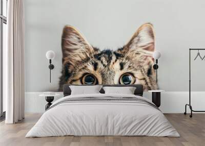 Curious Cat Peeking Over Edge Wall mural