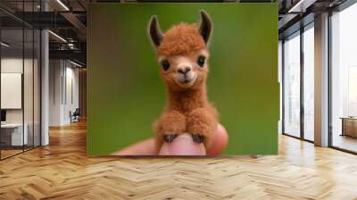 The smallest baby animal in the world and, sitting on someone's finger, is undoubtedly cute and adorable. The photo is very realistic and accurately reflects the fine features of the miniature animal. Wall mural