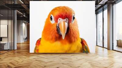 Close-up of a lori parrot, a sociable and beautiful pet bird, isolated on a white background. Generative AI Wall mural