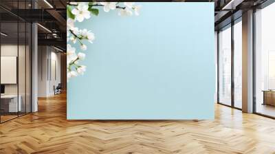 spring border background with white blossom copy space. Wall mural