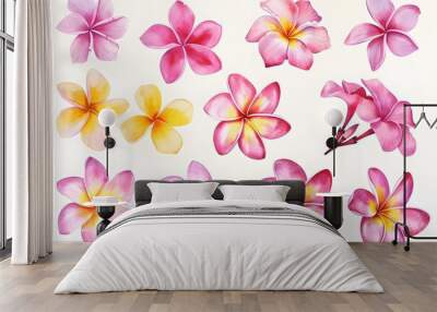 Watercolor frangipani flower clipart collection Wall mural