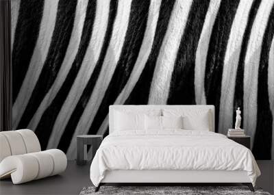 zebra skin Texture - Image Wall mural