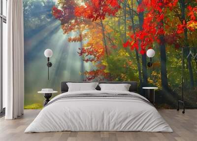 Enchanting Autumn Forest Wall mural