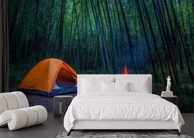 a cozy campfire setup in a deep pine forest Wall mural