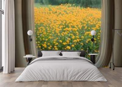 Airplane window. Spring inside and outside. Yellow bright blooming flowers. Meadow. Wall mural