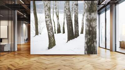 Snowy winter trees-birches in cold white snow landscape Wall mural