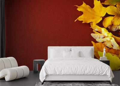 different autumn leaves Wall mural