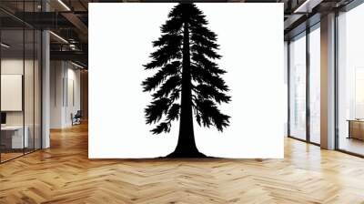 Redwood tree silhouette vector illustration white background Wall mural