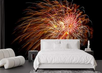 fireworks in the night sky Wall mural