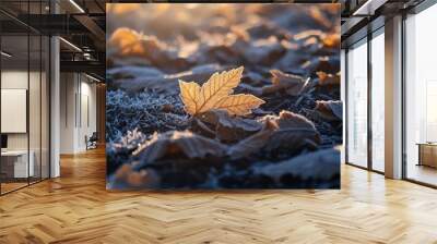 Fallen maple leaf floating on water surface with sunlight reflections autumn Wall mural