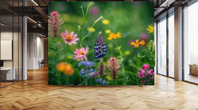 Lush wildflower field with varied blooms Lupines daisies and other species Rich green foliage backdrop Natural garden ecosystem Colorful floral diversity Summer meadow Wall mural